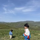 산대목장 네이버블로그