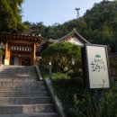호랭이카 네이버블로그
