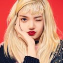 달다디자인