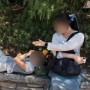 핫한 그 회사, 진짜 잘 나갈까? | [2026.05.16~2026.05.19] 일본 도쿄 3일차