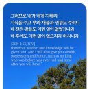 솔로몬의지혜주