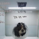 유동물의료센터 이미지