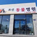 표선동물병원 이미지