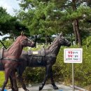 서천바베큐 이미지