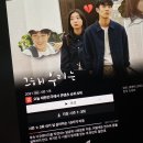 맘편하개 이미지