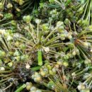 대청농장 이미지