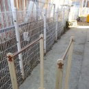 푸른별유치원 이미지