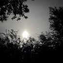 푸른향기펜션2 이미지