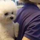 영배농장 이미지