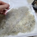 대천항세꼬시 이미지