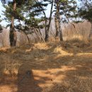 노적봉 도당지 이미지