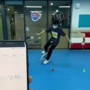 고양 용인대 힘찬 태권도장 이미지