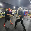 파이널복싱짐 이미지