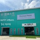 겟썸레스트 이미지