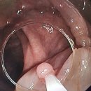 최영현장외과의원 이미지