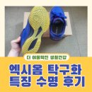 수명당 | 엑시옴 탁구화 추천 특징 수명 교체 내돈내산 후기