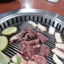 꽃돼지세상 이미지