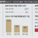 김씨기업