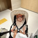 카써비스투 강릉점 | 13개월 아기랑 2박3일 강릉여행 ,신라모노그램 레지던스