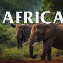 Wonders of AFRICA | The Best Places in AFRICA | Travel Video 4K 이미지