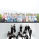 세븐틴 빌보드 톱 투어 '글로벌 7위' 대기록! 1300억 대박 터트린 월드클래스 근황