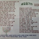 숲속의 잔치(박상재 작사,송택동 작곡, 소리천사중창단 노래)뮤직비디오 이미지