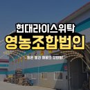 현대 라이스 위탁 영농조합법인 이미지