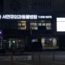 서면Q외과동물병원