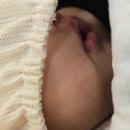 형제농수산 | 노량진 수산시장 형제상회 내돈내산 후기 - 재방문하면 회는 얇게!