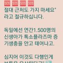 #️⃣SNS속 [개 고양이는 아기 잘 돌보던데... *️⃣공동육아 시도해도 될까요? 이미지