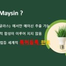 메이신릴렉스