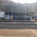 물꽃 캠핑장 이미지