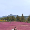 삼가체육공원 주차장 이미지