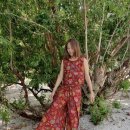 로아인터네셔널 이미지