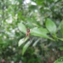 이슬농장 이미지