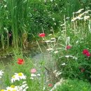 우시장천 이미지