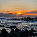 맨도롱 | 울진 울진읍 스시 맨도롱 회전초밥 유명하다면서? 내돈내산 후기는?