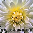 자동차 신문
