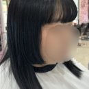 컷앤가이