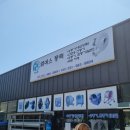 엠에스상사