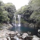 천제연폭포 이미지