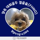 언제나동물병원