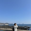 오션PC | 서귀포 오션뷰 감성 카페 ‘콜레트 커피’ 분위기, 메뉴, 주차 후기