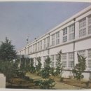 가는골1 | 강진대구중학교(강진)제12회