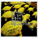 선재농장 이미지