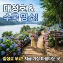 옥천향토전시관 | 충북 옥천 장계관광지 수국 명소, 입장료 무료 호수 산책 코스