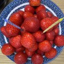 3학년8반 | 누구의 삶인들 향기롭지 않으랴