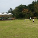 쇠평어린이공원 놀이터 이미지