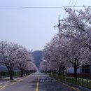 의회사무과