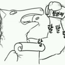 타피오 이미지